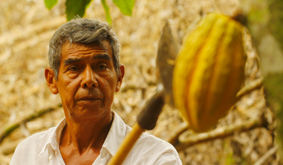 Antenor Alberto Aviles: «En Triana Cacao nos comprometemos a contribuir al cambio del sector del chocolate»