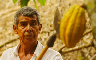 Antenor Alberto Aviles: «En Triana Cacao nos comprometemos a contribuir al cambio del sector del chocolate»